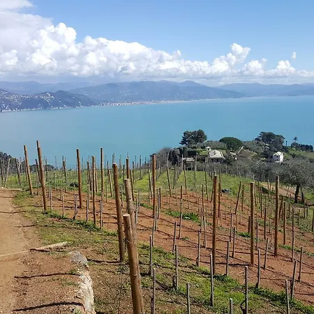 331 - Lord Nelson Fronte E Vista Mare 4 Gasthof Chiavari